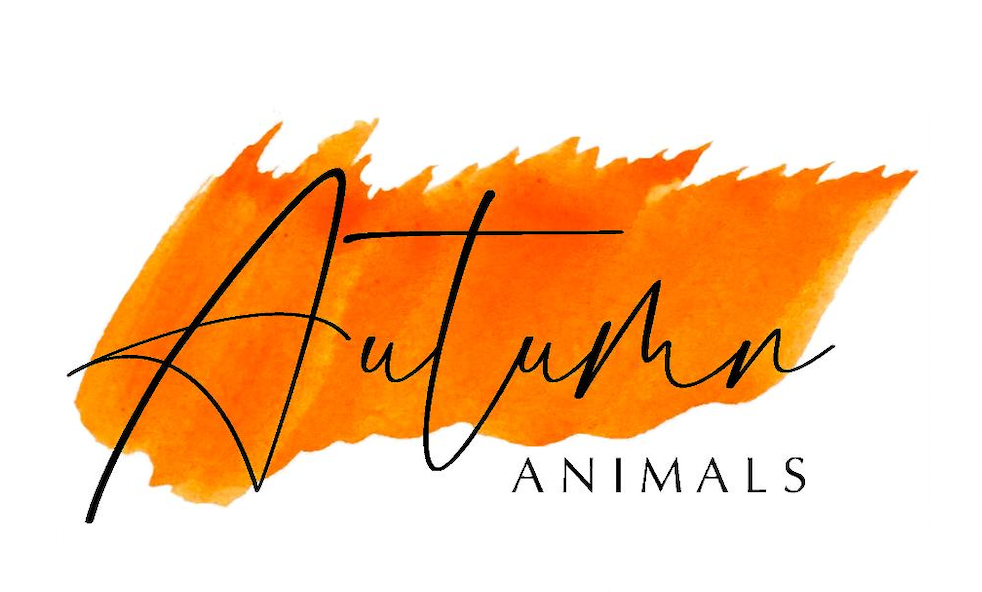 Customer Spotlight: Autumn Animals
