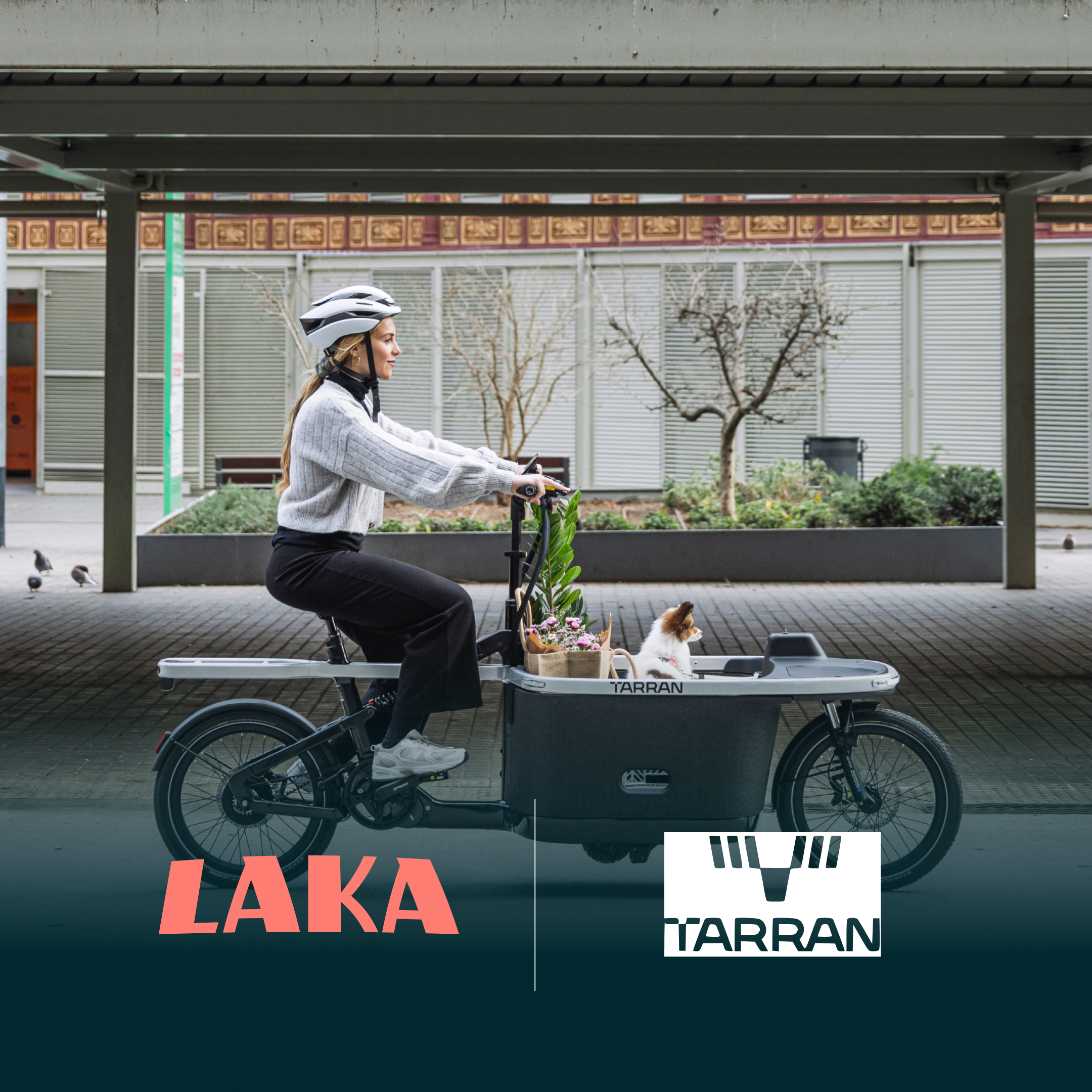 Safety Meets Smart Tech: We're Partnering with TARRAN!